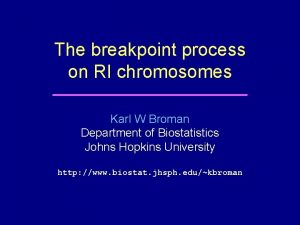 The breakpoint process on RI chromosomes Karl W