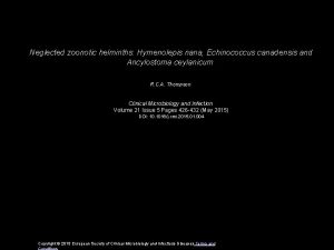 Neglected zoonotic helminths Hymenolepis nana Echinococcus canadensis and