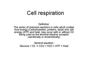 Respiration definition
