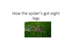 Spiders have got eight legs
