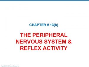 CHAPTER 13b THE PERIPHERAL NERVOUS SYSTEM REFLEX ACTIVITY