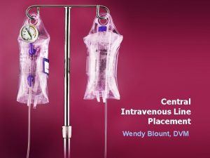 Central Intravenous Line Placement Wendy Blount DVM Practical