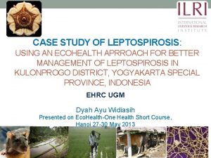 CASE STUDY OF LEPTOSPIROSIS USING AN ECOHEALTH APRROACH