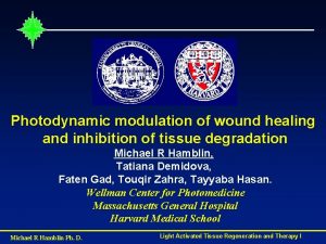 Photodynamic modulation of wound healing and inhibition of