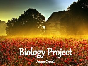 Biology Project Amara Gosnell PLANTS Gardenia Location Jasminoids
