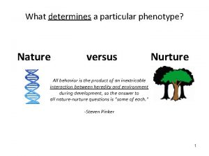 What determines a particular phenotype Nature versus Nurture