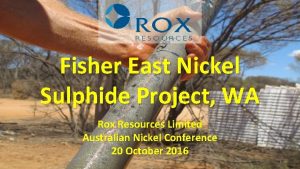 Fisher East Nickel Sulphide Project WA Rox Resources