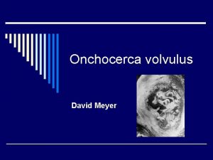 Onchocerca volvulus David Meyer Brief Review o Helminthes