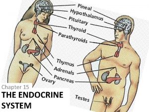 Adh vs aldosterone