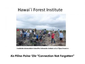 Hawaii forest institute