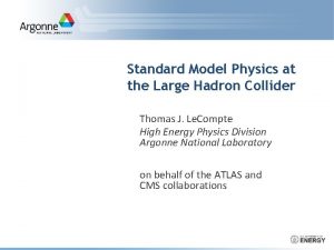 Standard Model Physics at the Large Hadron Collider