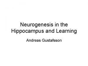 Neurogenesis in the Hippocampus and Learning Andreas Gustafsson