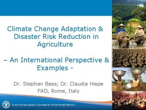 Climate Change Adaptation Disaster Risk Reduction in Agriculture