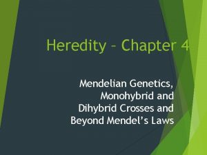 Heredity Chapter 4 Mendelian Genetics Monohybrid and Dihybrid