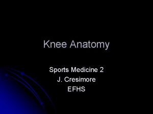 Knee Anatomy Sports Medicine 2 J Cresimore EFHS