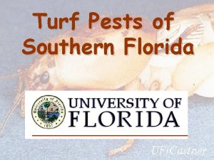 Turf Pests of Southern Florida Advanced Training Program