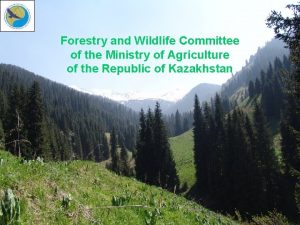 Forestry and Wildlife Committee of the Ministry of