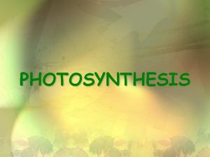 Photosynthesis anabolic