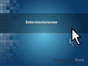 Antigenic structure of e coli