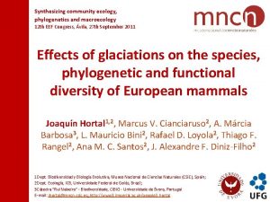 Synthesizing community ecology phylogenetics and macroecology 12 th