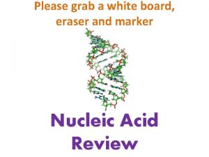 Label nucleotide