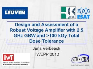 Design and Assessment of a Robust Voltage Amplifier