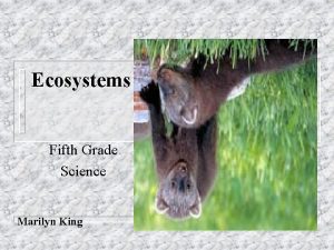 Ecosystems Fifth Grade Science Marilyn King Ecosystems An