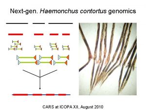 Nextgen Haemonchus contortus genomics CARS at ICOPA XII