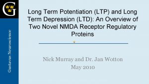 Gustavus Neuroscience Long Term Potentiation LTP and Long