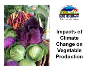 Impacts of Climate Change on Vegetable Production Changing