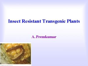 Insect Resistant Transgenic Plants A Premkumar INTRODUCTION Insect