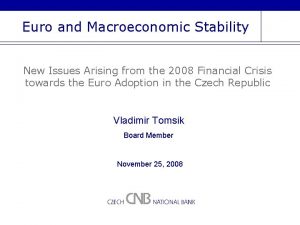 Euro and Macroeconomic Stability New Issues Arising from