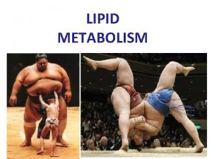 Beta oxidation of lauric acid Beta oxidation of lauric acid