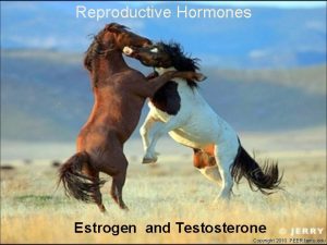 Reproductive Hormones Estrogen and Testosterone Copyright 2010 PEER