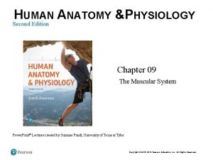 HUMAN ANATOMY PHYSIOLOGY Second Edition Chapter 09 The