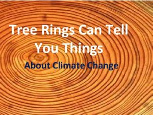 What two things do tree rings indicate