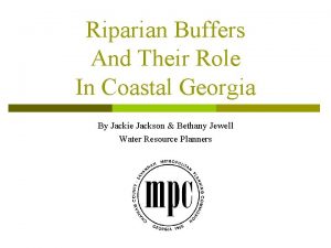 Riparian Buffers And Their Role In Coastal Georgia