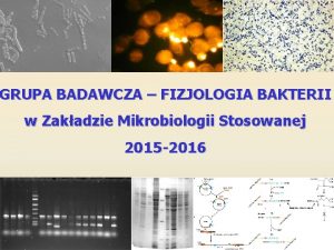 GRUPA BADAWCZA FIZJOLOGIA BAKTERII w Zakadzie Mikrobiologii Stosowanej