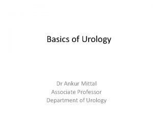 Basics of Urology Dr Ankur Mittal Associate Professor