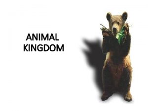 ANIMAL KINGDOM 5 Kingdom Classification System Kingdom Monera