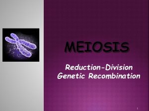 Genetic recombination Genetic recombination