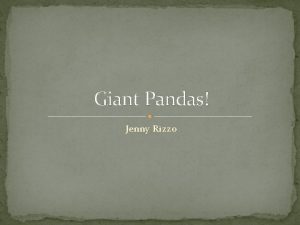 Giant Pandas Jenny Rizzo What do you know