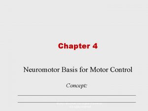 Neuromotor basis for motor control