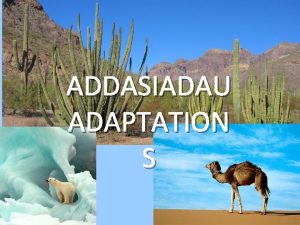 ADDASIADAU ADAPTATION S PoblogaethPopulation Grp o organebau or