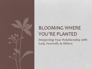 BLOOMING WHERE YOURE PLANTED Deepening Your Relationship with