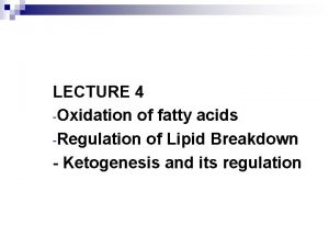 LECTURE 4 Oxidation of fatty acids Regulation of