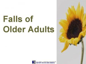 Falls of Older Adults Objectives 1 Describe demographics