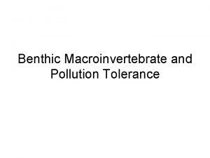 Benthic Macroinvertebrate and Pollution Tolerance What is benthic