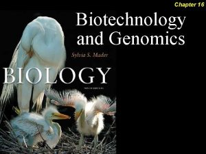 Chapter 16 Biotechnology and Genomics DNA Cloning Gene