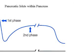 Pancreatic Islets within Pancreas Modulators of Insulin Secretion